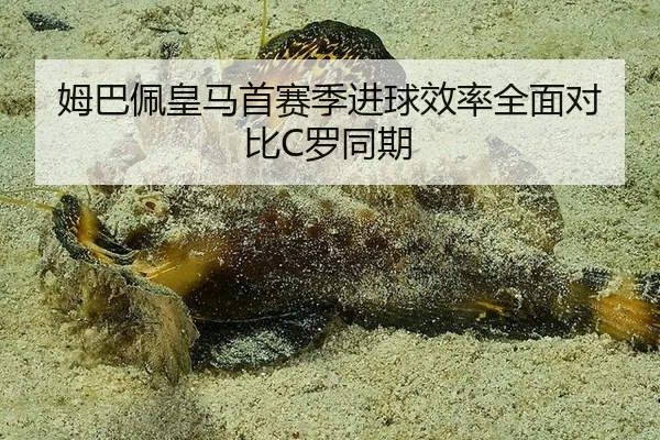 姆巴佩皇马首赛季进球效率全面对比C罗同期