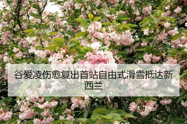 gu-ai-ling-shang-yu-fu-chu-shou-zhan-zi-you-shi-hua-xue-di-da-xin-xi-lan-3-145.jpg