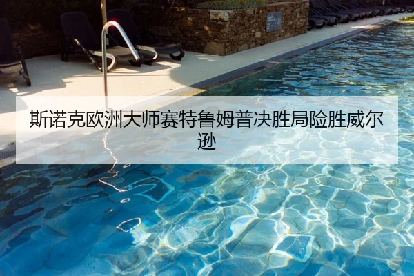 斯诺克欧洲大师赛特鲁姆普决胜局险胜威尔逊